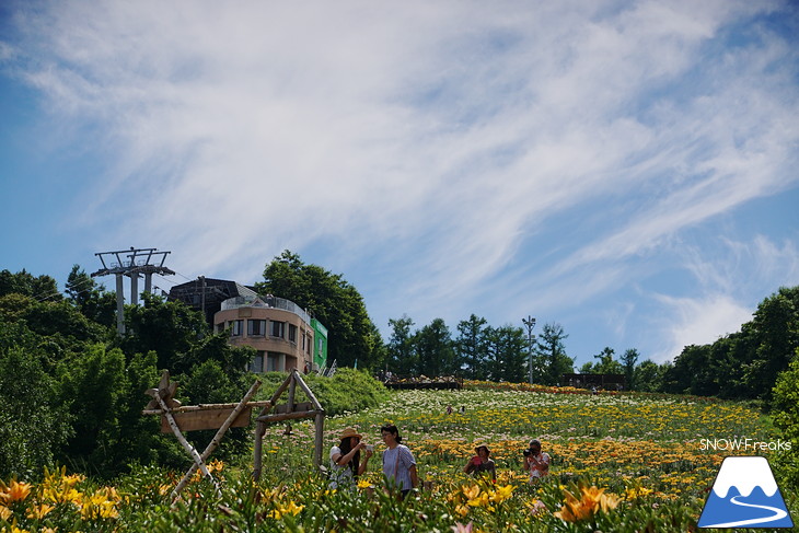 オーンズ春香山ゆり園 今年も綺麗な『ゆり』のシーズン到来♪